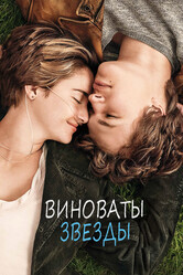 Виноваты звезды / The Fault in Our Stars