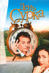 День сурка / Groundhog Day