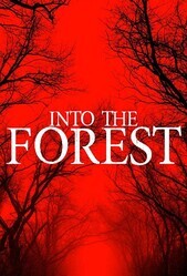 В лесу / Into the Forest