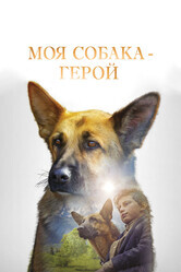 Овчарка-герой / SHEPHERD: The Story of a Jewish Dog