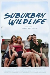 Дикая жизнь в пригороде / Suburban Wildlife