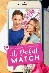 Идеальное сходство / A Perfect Match