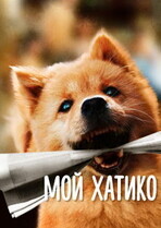 Мой Хатико / Hachiko (Zhong quan ba gong)