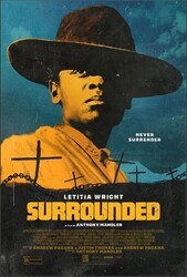 В окружении / Surrounded