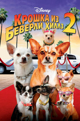 Крошка из Беверли-Хиллз 2 / Beverly Hills Chihuahua 2