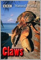 Мир природы. Из жизни крабов / The Natural World. Claws