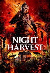 Ночной урожай / Night Harvest