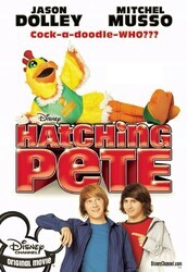 Пит в перьях / Hatching Pete