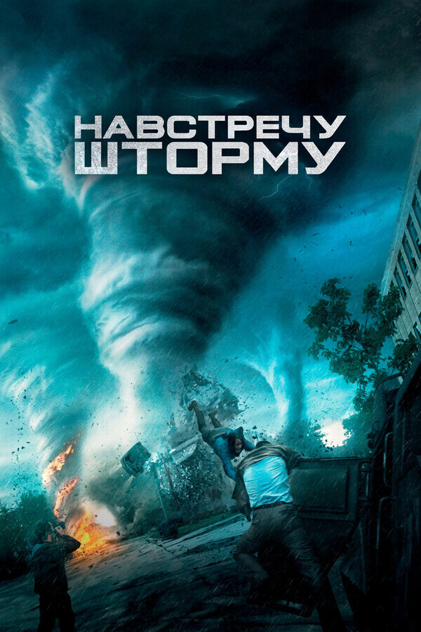 Навстречу шторму / Into the Storm