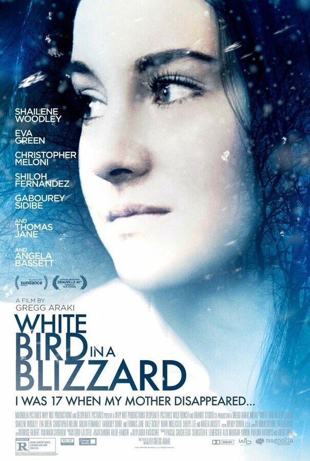 Белая птица в метели / White Bird in a Blizzard