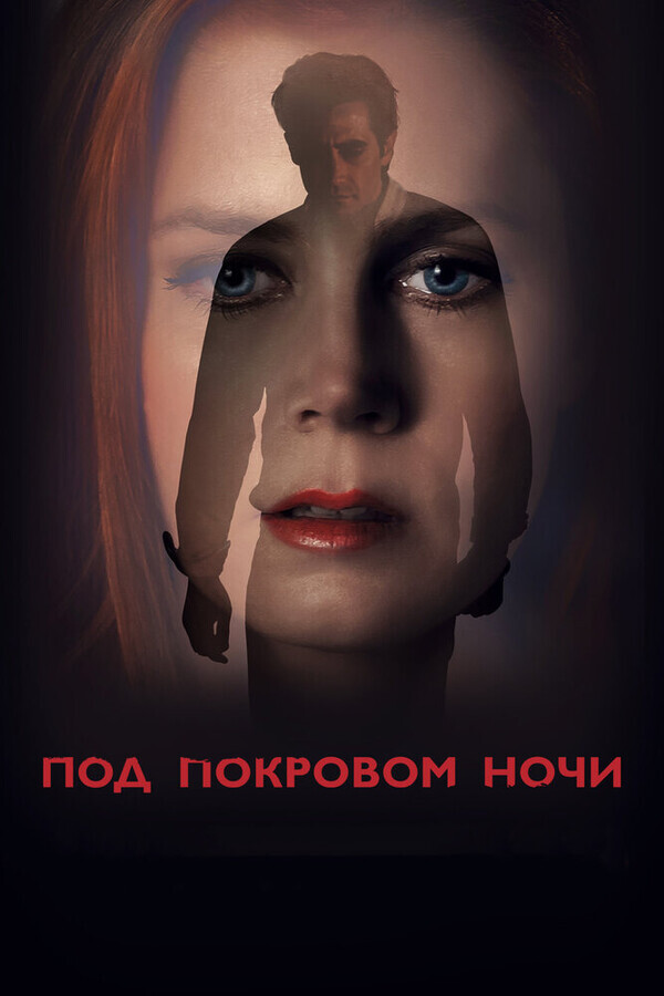 Под покровом ночи / Nocturnal Animals