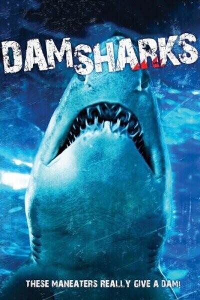 Акульи плотины / Dam Sharks