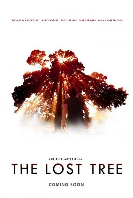 Потерянное дерево / The Lost Tree