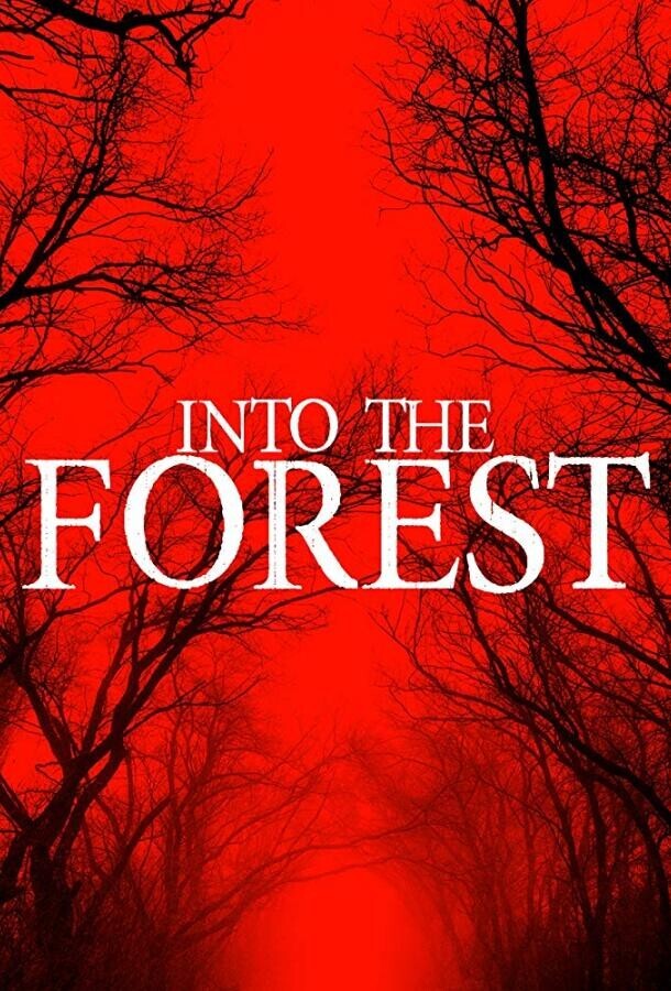 В лесу / Into the Forest