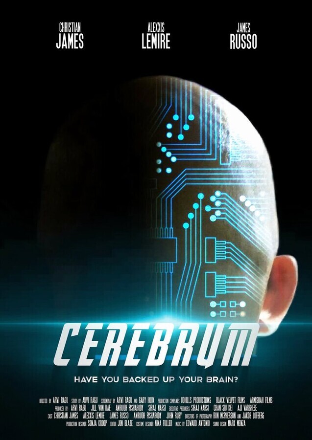 Мозг / Cerebrum