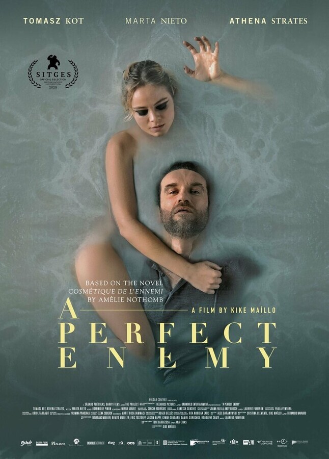 Идеальный враг / A Perfect Enemy