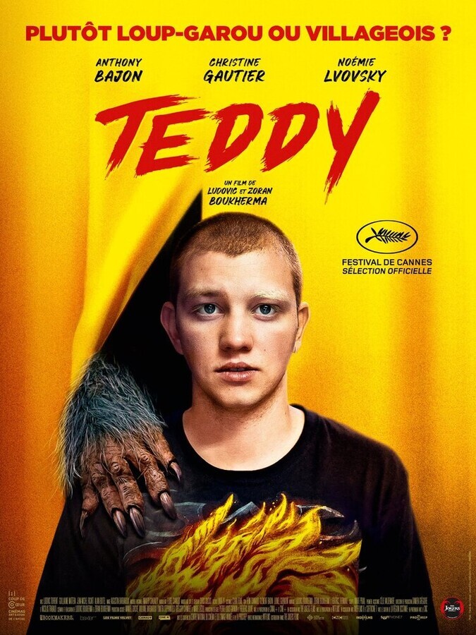 Тедди / Teddy