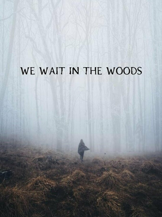 Мы поджидаем в лесу / We Wait in the Woods