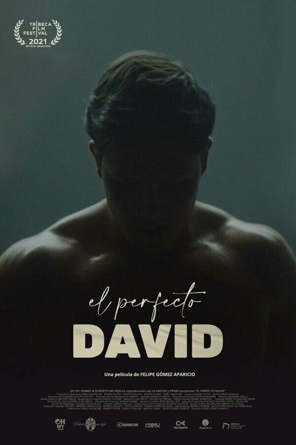 Идеальный Давид / El perfecto David