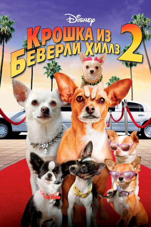 Крошка из Беверли-Хиллз 2 / Beverly Hills Chihuahua 2