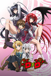 Высшая школа DxD  / High School DxD